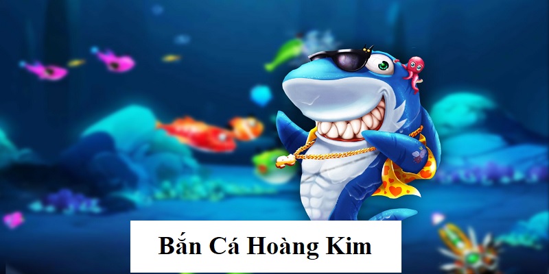 ban ca hoang kim anh dai dien